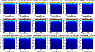 Effects of Measurement Configurations on the Sensitivity of Morpho Butterfly Scales Based Chemical Biosensor